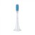 Mi Elektrisk Tandborste 3st / Electric Tootbrush Head / Tandborsthuvud (Gum Care)